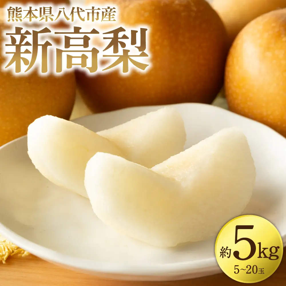 【先行予約】 新高梨 約5kg (5～20玉)  梨 なし ナシ フルーツ くだもの 果物 旬 熊本県 八代市 【2026年9月中旬より順次発送】