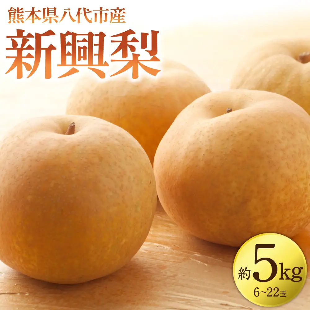 【先行予約】 新興梨 約5kg (6～22玉)   梨 なし ナシ フルーツ くだもの 果物 旬 熊本県 八代市 【2026年10月上旬より順次発送】