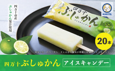 久保田食品 四万十ぶしゅかんアイスキャンデー 20本 入り 冷菓 菓子 冷凍 冷凍便 アイス アイスキャンデー スイーツ おやつ おいしい 四万十市産 ぶしゅかん 人気 おすすめ ご当地 お取り寄せ ギフト 夏ギフト お中元 お歳暮 のし対応 26-444