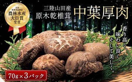 三陸山田産　原木乾椎茸「中葉厚肉」 三陸山田 山田町 野菜 きのこ きのこ名人 農林水産大臣賞 匠 YD-455