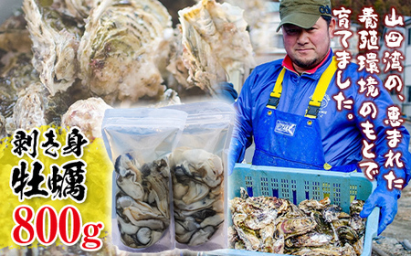 三陸山田産 剥き身 牡蠣 400g×2パックセット 明神丸かき・ほたてきち 岩手県 三陸 山田湾 かき カキ kaki hotate YD-496