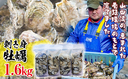 三陸山田産 剥き身 牡蠣 400g×4パックセット 明神丸かき・ほたてきち 岩手県 三陸 山田湾 かき カキ kaki hotate YD-497