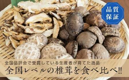 三陸山田産 乾燥しいたけ いろいろセット 椎茸 しいたけ シイタケ どんこ椎茸 干し椎茸 干しシイタケ ほししいたけ 原木椎茸 乾燥しいたけ 乾椎茸 乾燥きのこ 原木しいたけ 乾燥キノコ 乾燥椎茸 国産  岩手県 三陸山田 山田町 YD-459