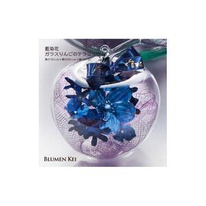 藍染花ガラスりんごのテラリュウム