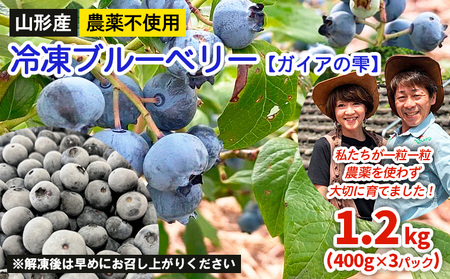 山形産 農薬不使用 冷凍ブルーベリー【ガイアの雫】1.2kg(400g×3)★真空包装★ FZ23-582