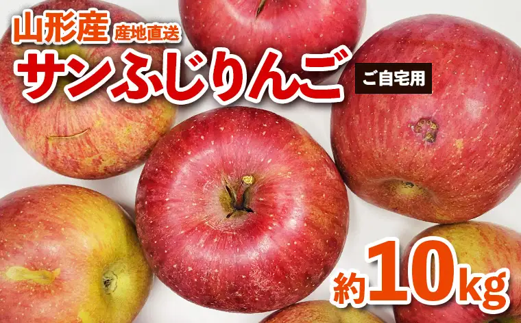 【ご自宅用】山形産サンふじりんご　約10kg(26～56玉) FZ26-746