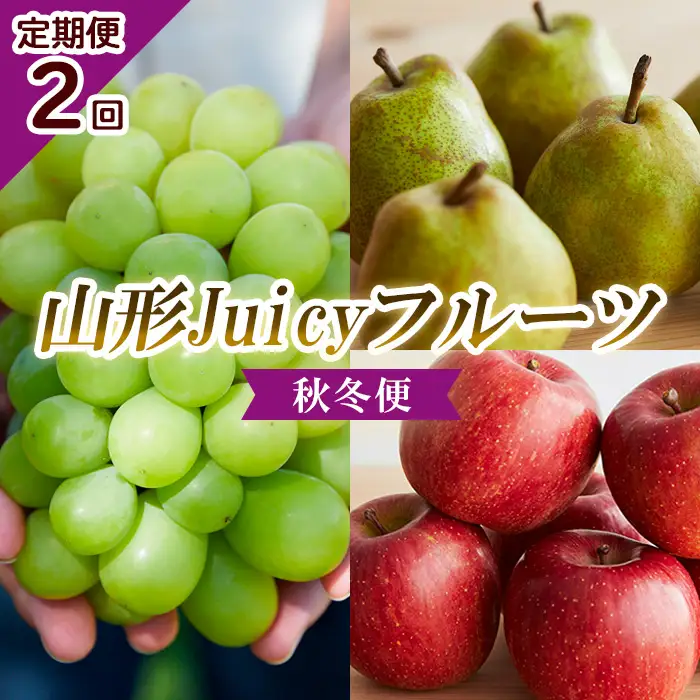 【定期便2回】山形 Juicyフルーツ 秋冬便 【令和8年産先行予約】FU23-925 くだもの 果物 フルーツ 山形 山形県 山形市 2026年産