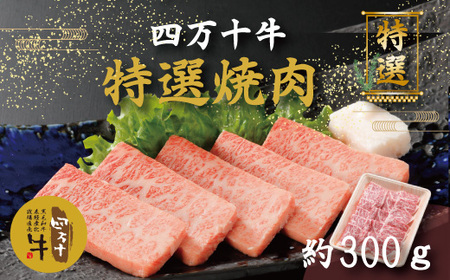 26-976．幻のメス牛 四万十牛特選焼肉（約300ｇ）