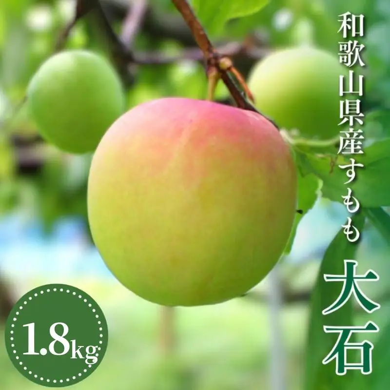 すもも 大石 1.8kg 【mtm006-2】