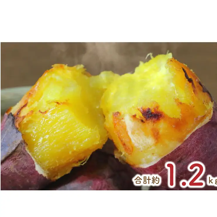 ★少し大きめサイズ★熟成紅はるか冷凍焼き芋約1kg＋おまかせ品種さつまいも 合計約1.2kg｜さつまいも サツマイモ さつま芋 焼き芋 やきいも 冷凍 冷凍焼き芋 紅はるか 茨城県 行方市(EY-3)
