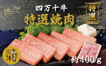 26-001．幻のメス牛 四万十牛特選焼肉（約400ｇ）
