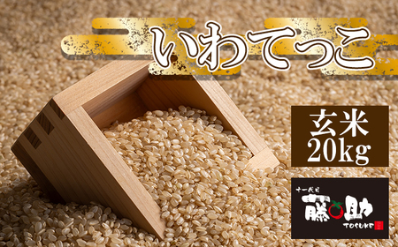 【令和7年産】 いわてっこ 玄米 20kg ／ 十一代目藤助 こめ 米 コメ お米 おこめ ご飯 ごはん げんまい おにぎり お取り寄せ 産地直送 農家直送 単一原料米 国産 国産米 東北 岩手県産 八幡平市産 数量限定 おすすめ