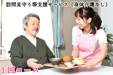 訪問見守り等支援サービス (身体介護なし) 1回コース 利用補助券｜会津若松市 お手伝い 生活支援 [0209]