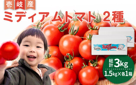 ミディアムトマト 3kg（1.5kg×2箱）《壱岐市》【ISLAND FARM】[JFL002]