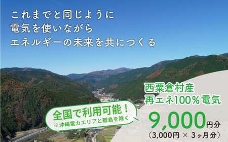 電気料金 （3,000円×3ヶ月分） 百森でんき 実質CO2フリー 地域電力 お礼の電力 電気代 脱炭素 ゼロカーボン 岡山県 西粟倉村 【まずは寄付のお申し込みを！】 e-vv-A01D