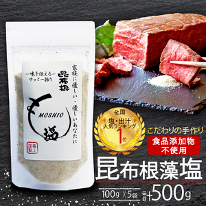 昆布根藻塩 100g×5袋 計500g [食品添加物/着色料/保存料不使用] 昆布 海藻 手作り 塩 ミネラル だし 出汁  調味料 小分け ギフト 贈り物 岩手県 大船渡市