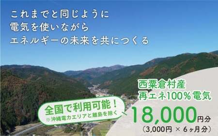 電気料金 （3,000円×6ヶ月分） 百森でんき 実質CO2フリー 地域電力 お礼の電力 電気代 脱炭素 ゼロカーボン 岡山県 西粟倉村 【まずは寄付のお申し込みを！】 e-vv-A02D