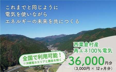 電気料金 （3,000円×12ヶ月分） 百森でんき 実質CO2フリー 地域電力 お礼の電力 電気代 脱炭素 ゼロカーボン 岡山県 西粟倉村 【まずは寄付のお申し込みを！】 e-vv-A03D