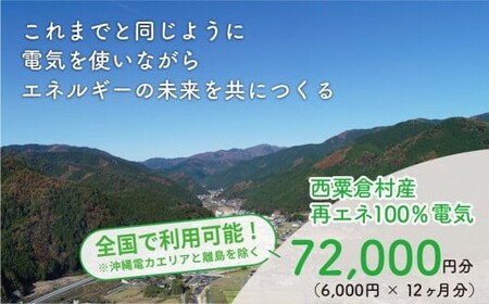 電気料金 （6,000円×12ヶ月分） 百森でんき 実質CO2フリー 地域電力 お礼の電力 電気代 脱炭素 ゼロカーボン 岡山県 西粟倉村 【まずは寄付のお申し込みを！】e-vv-A05D