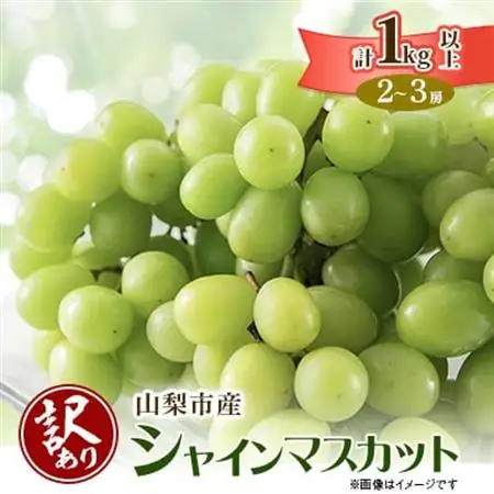 【2026年発送】【訳あり】山梨市産シャインマスカット1kg以上(2～3房)【配送不可地域：離島】【1427896】