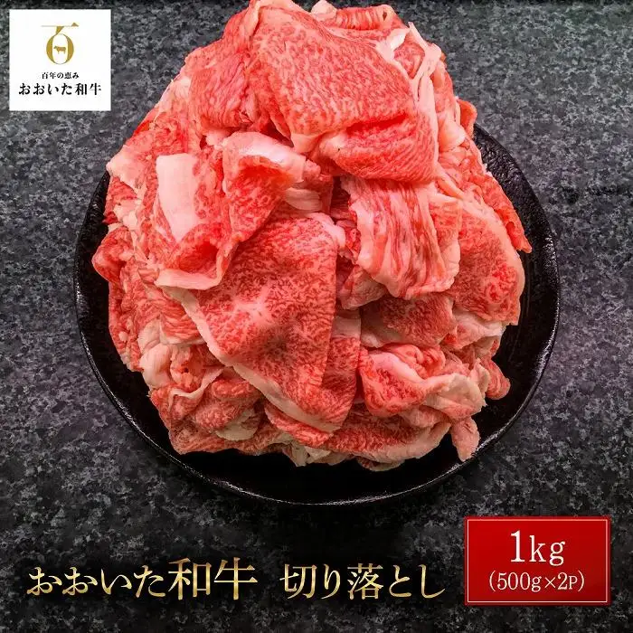 おおいた和牛 切り落とし 1kg（500g×2P）