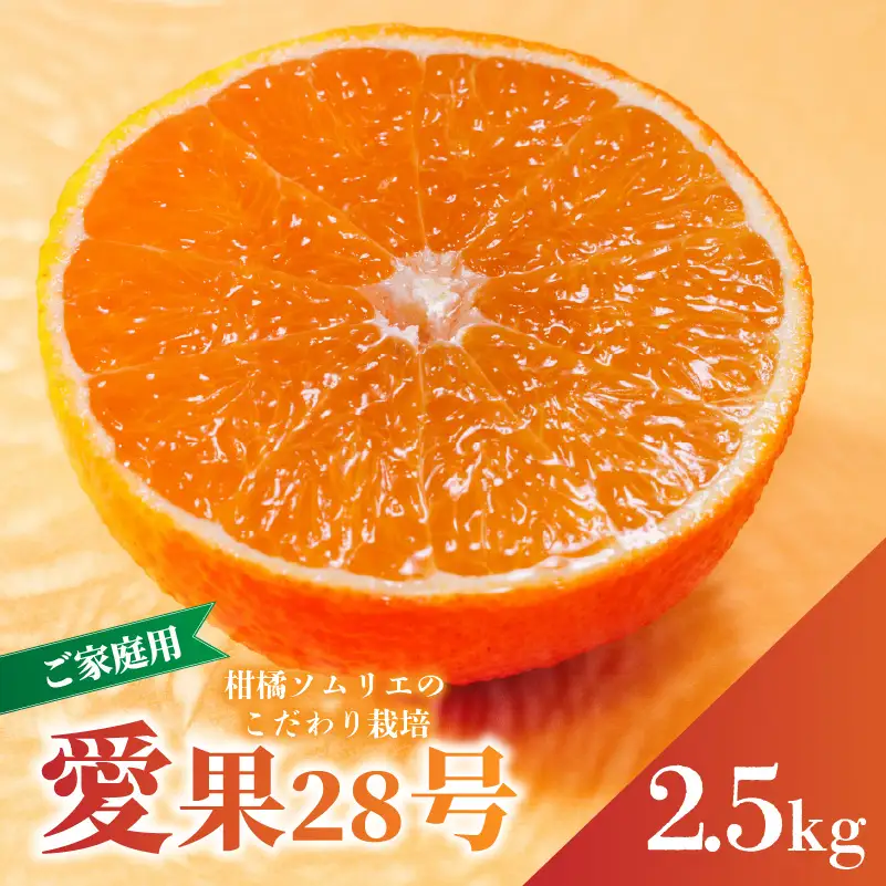 【紅まどんなと同品種】 愛果28号 家庭用 2.5kg 【先行予約 2026年11月下旬より順次発送】 | 訳あり 愛果 あいか みかん まどんな マドンナ ワケアリ 柑橘 みかん 果物 おすすめ 高級 人気 お取り寄せ グルメ ギフト 期間 ご当地 愛媛三大柑橘（ 紅まどんな せとか 甘平 ） 愛媛県 松山市 蓮果園 【RNK0022】
