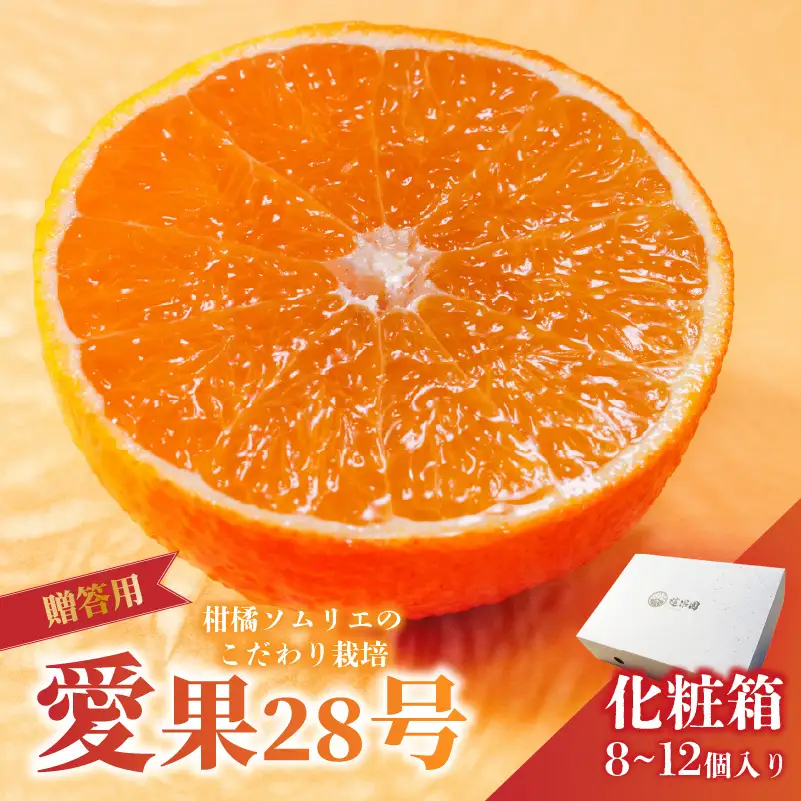 【紅まどんなと同品種】愛果28号 化粧箱 8玉～12玉 まどんな 【2026年11月下旬より順次発送】 【RNK0012】