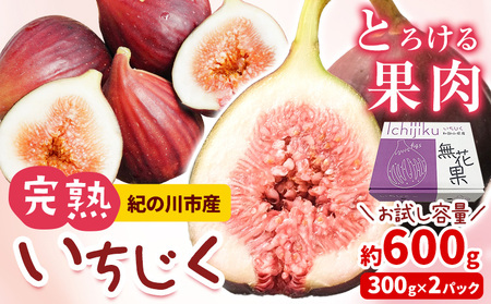 いちじく お試し 約600g