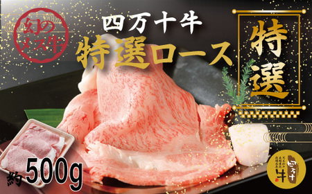26-974．幻のメス牛 四万十牛特選ローススライス（すき焼き・しゃぶしゃぶ用）約500ｇ