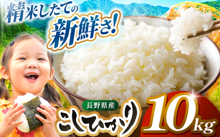 米 10kg コシヒカリ 令和7年産 JA上伊那 コシヒカリ 今ずり米 5kg 2袋 【034-10】