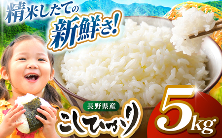 米 5kg コシヒカリ 令和7年産 JA上伊那 コシヒカリ 今ずり米 5kg 1袋【017-24】