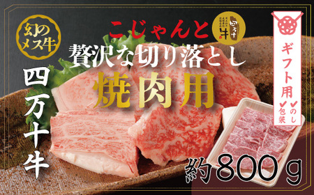 【ギフト用（包装・のし対応）】26-019G．幻のメス牛　四万十牛こじゃんと贅沢な切り落とし（焼肉用・800ｇ）