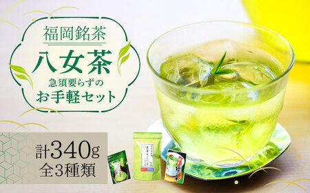 福岡銘茶 八女茶 ティーバッグ付 急須要らずのお手軽セット（便利なチャック付） [ABCJ031] 