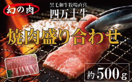 26-978．幻の四万十牛　焼肉盛り合わせ（黒毛和牛）　約500ｇ