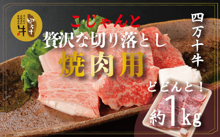 26-979．幻の四万十牛 こじゃんと贅沢な切り落とし　焼肉用（黒毛和牛）約1ｋｇ