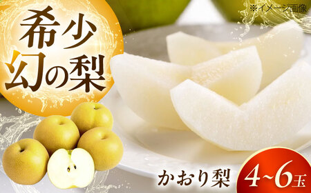 上岡果樹園のかおり梨 4-6玉入り BKAD056