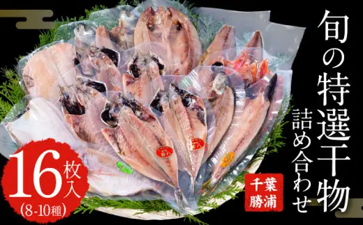 特選干物セット 8-10種16枚 干物