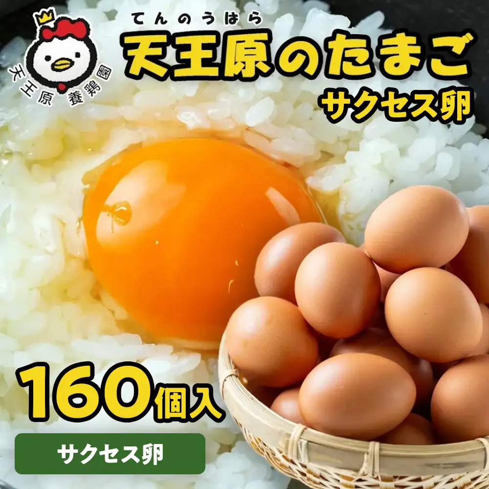 【天王原のたまご】サクセス卵160個入り
