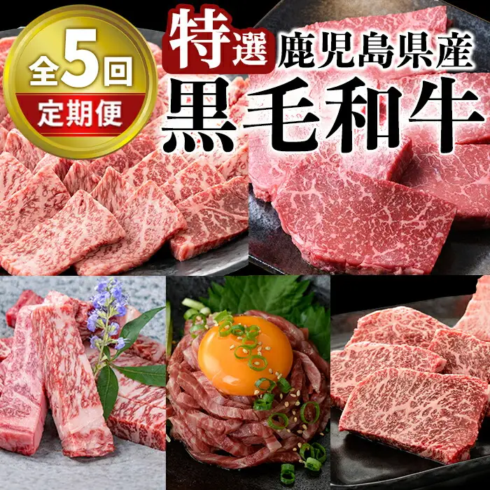 ＜定期便・全5回＞ 特選 黒毛和牛 定期便 国産 鹿児島県産 【 LRプラスK】T10-v01