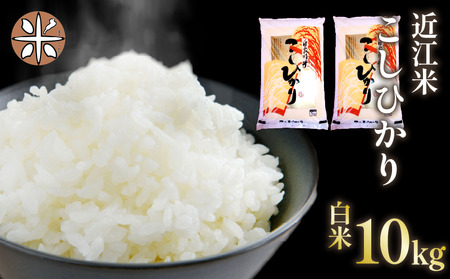 令和7年産 米 白米 10kg こしひかり 5kg × 2袋 精米 近江米 コシヒカリ 国産 お米 米 おこめ ごはん ご飯 白飯 しろめし こめ ゴハン 御飯 滋賀県産 竜王 ふるさと ランキング 人気 おすすめ