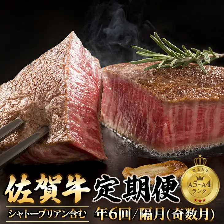 【定期便】 (年6回/奇数月お届け) 佐賀牛隔月6回コース 牛肉 Q100-101