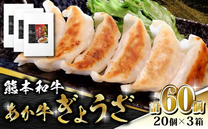 熊本和牛 あか牛ぎょうざ 20個×3箱【有限会社 三協畜産】 国産  餃子 ギョウザ [ZEB043]