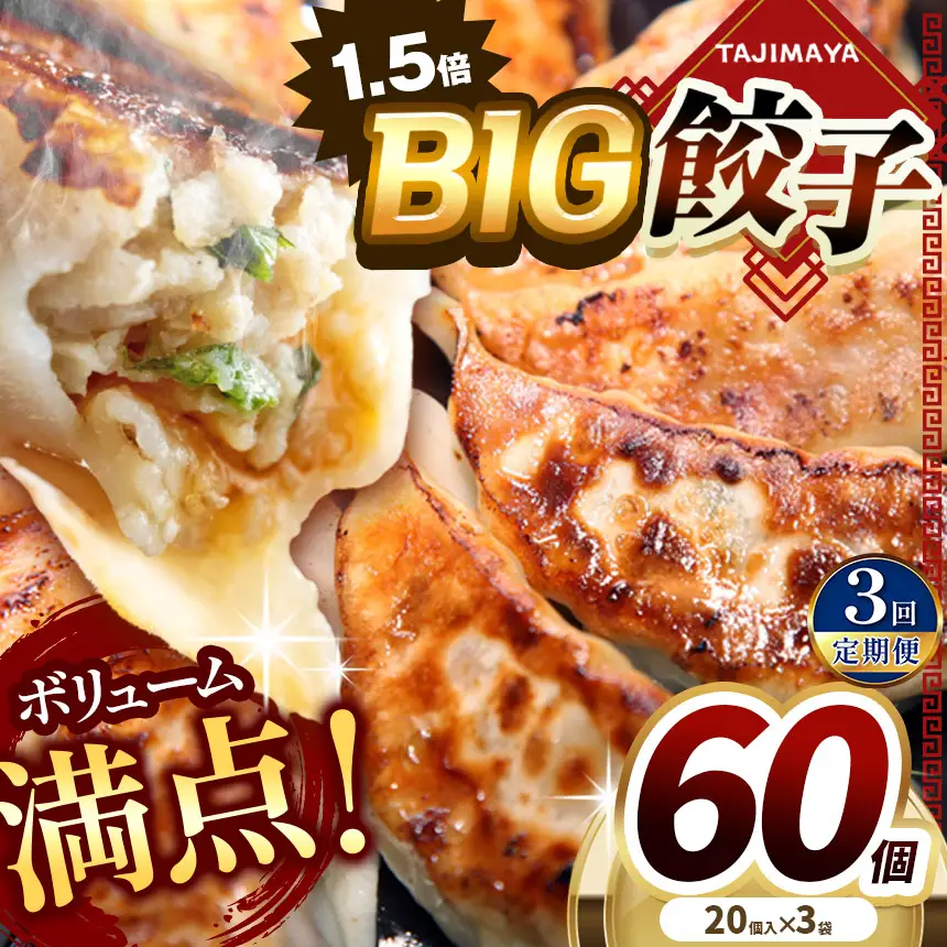 【定期便3回】たじまやオリジナルビッグ 餃子 60個 