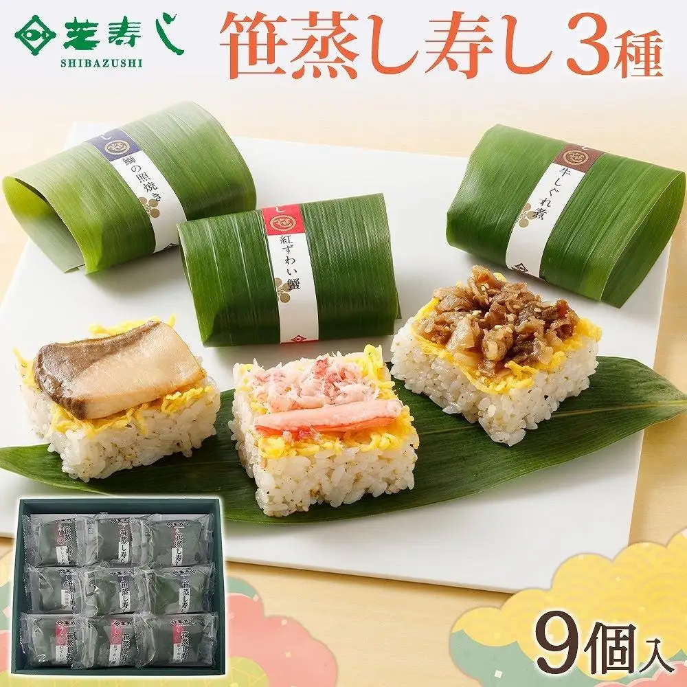 笹蒸寿し 3種 計9個
