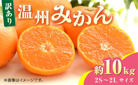 【先行予約】温州みかん約10kg　2S〜2Lサイズ　【くまふる】[ZBG049]
