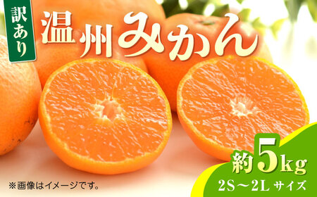 【先行予約】温州みかん約5kg　2S〜2Lサイズ　【くまふる】[ZBG051]