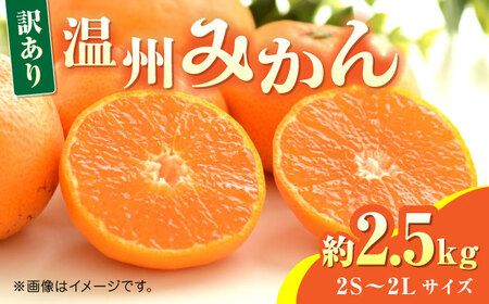【先行予約】温州みかん約2.5kg　2S〜2Lサイズ　【くまふる】[ZBG052]
