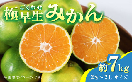【先行予約】極早生みかん 約7kg　2S〜2Lサイズ　【くまふる】[ZBG055]