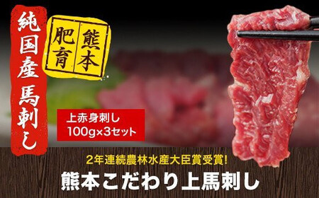 馬刺し 上赤身 ブロック 国産 馬刺し300g《7-14日以内に出荷予定(土日祝除く)》