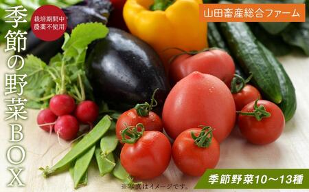 長崎県産　季節野菜 BOX 10～13種 詰め合わせ＜山田畜産総合ファーム＞ | 野菜